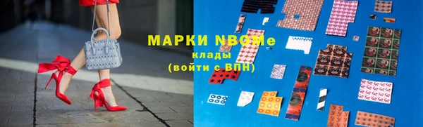 индика Арсеньев