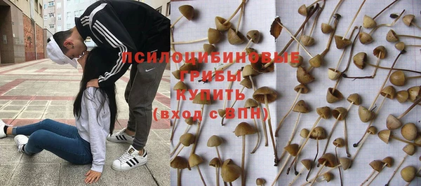 таблы Армянск