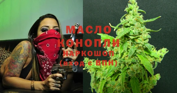 индика Арсеньев