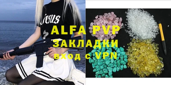 стафф Осташков