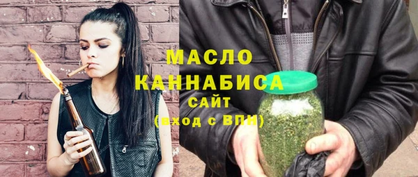 индика Арсеньев