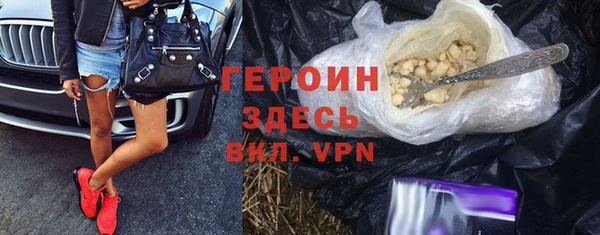 индика Арсеньев