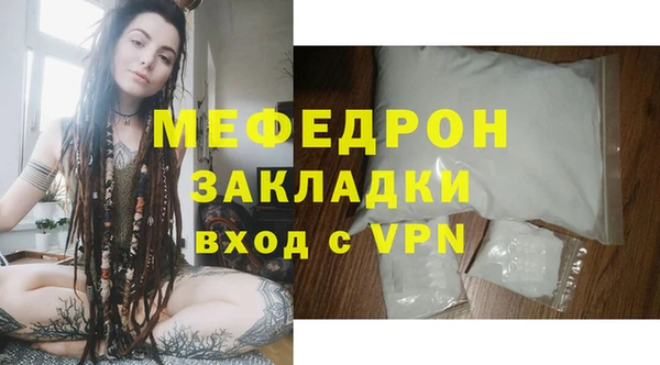 индика Арсеньев