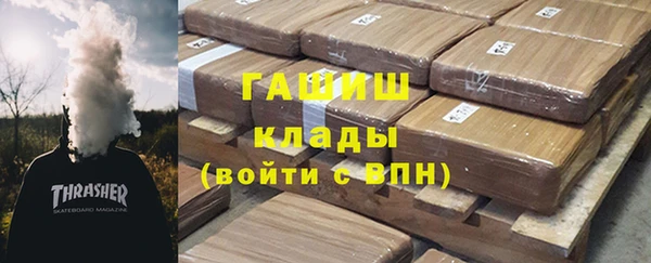 индика Арсеньев