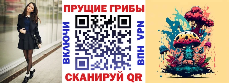 Галлюциногенные грибы Psilocybine cubensis  магазин продажи   Спасск-Рязанский 